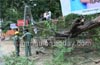 MESCOM lineman injured as branch falls off in Karangalpady